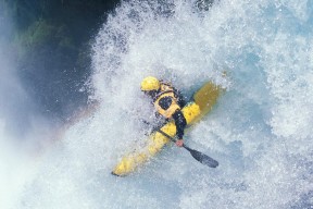 法网转会风云：上海申花盯上锋线强援，阿尔卡拉斯或成交易筹码-九游平台官网